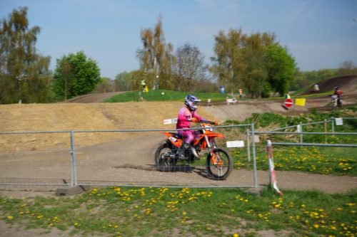 MSC-Youngster-582-von-806
