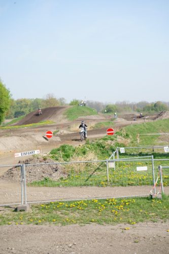 MSC-Youngster-664-von-806